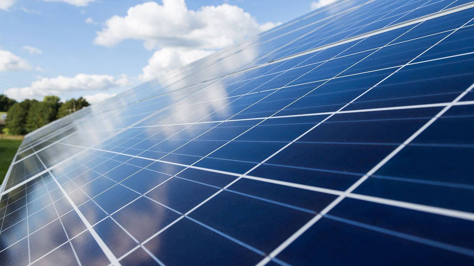 Solarmodule auf einem Feld